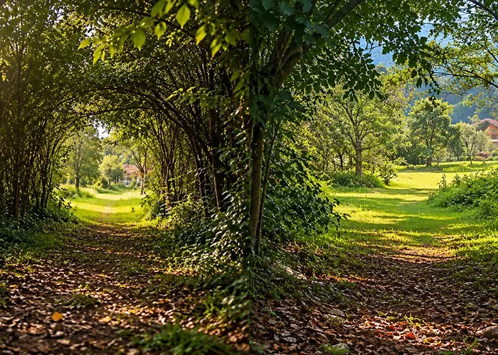 Casa Del Pisonay, Descanso En La Naturaleza * Huaran